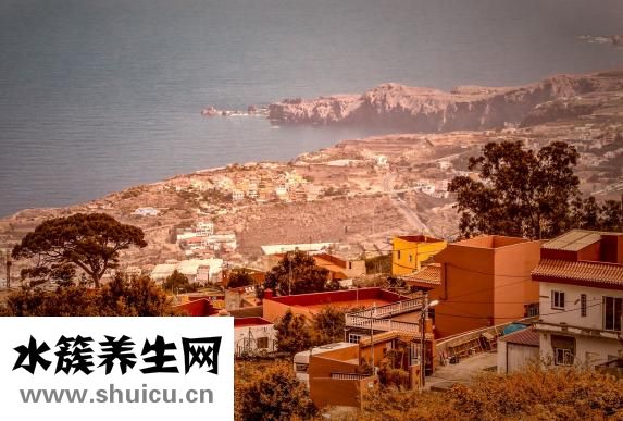 怎么在河里抓小鱼