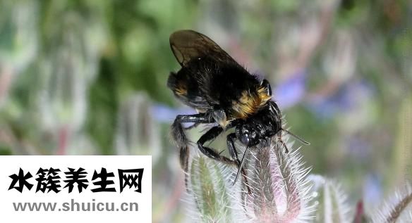 怎么让嘴巴变好看