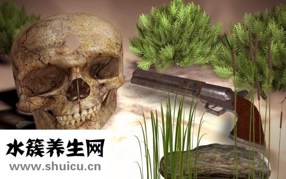 摔到骨头怎么补