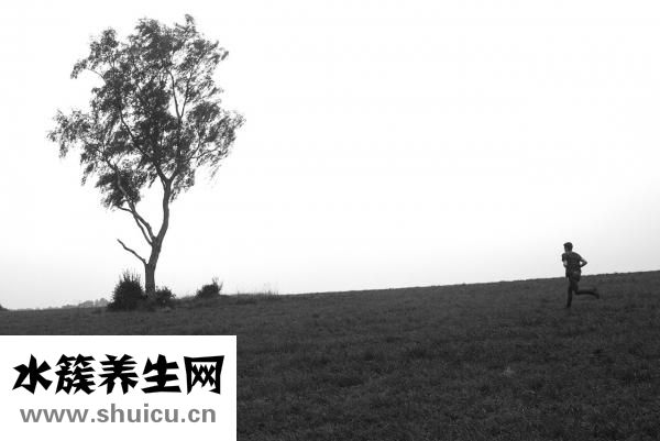 被迷老鼠迷怎么解决