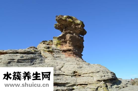 蒙古铁腰丹怎么吃