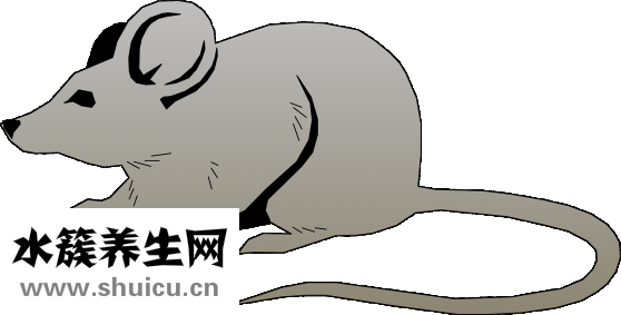 尾巴骨摔断了怎么治