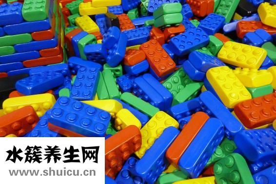 幼猫害怕以后怎么办