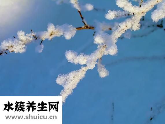 怎么让他喜欢我