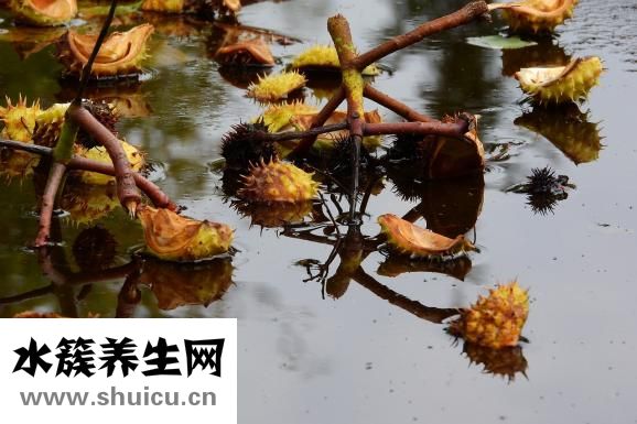 肾气虚该怎么好