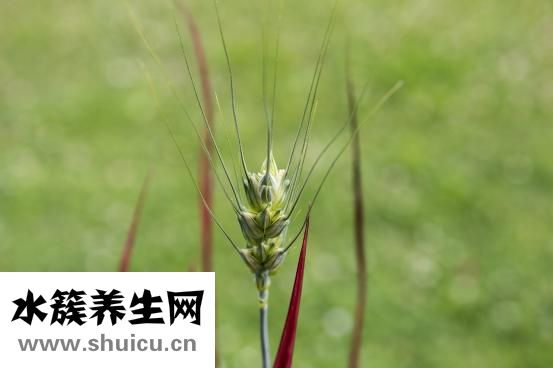 奶粉店怎么做活动