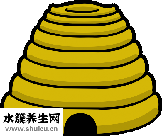 藏红花怎么喝