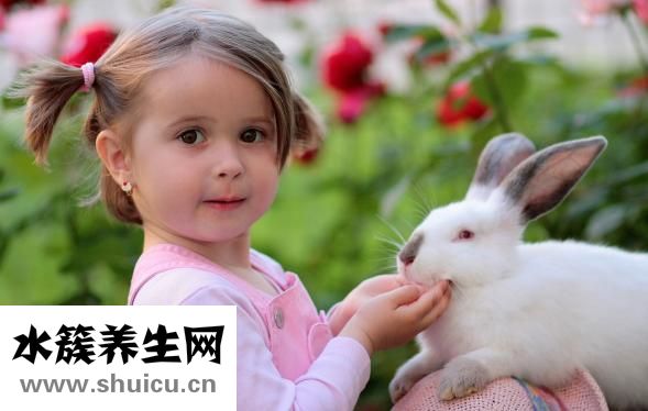 怎么做地瓜馒头