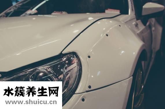 多肉五十铃玉怎么养