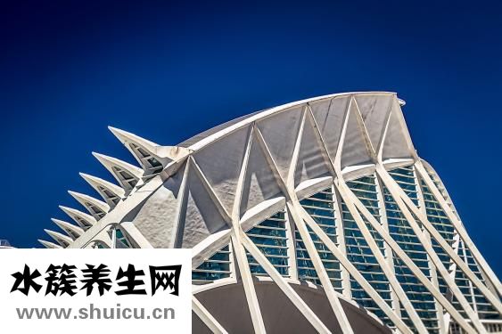 怎么办理火化证
