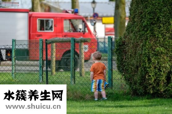 干香菜怎么