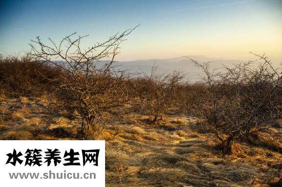 成天休息不好怎么办