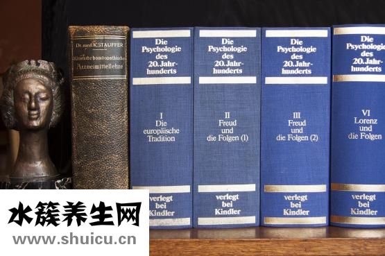 莲子怎么煮粥