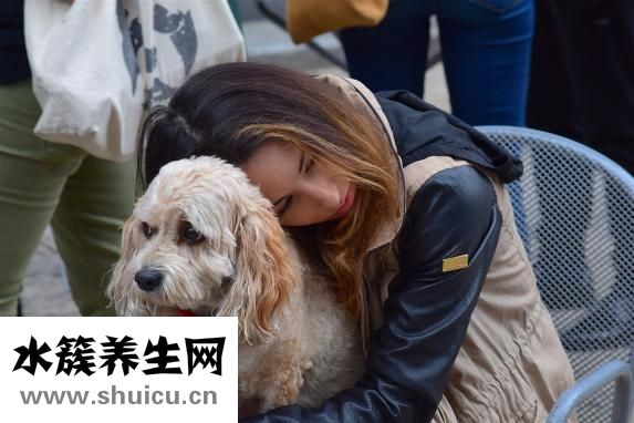 怎么给狗狗喂水