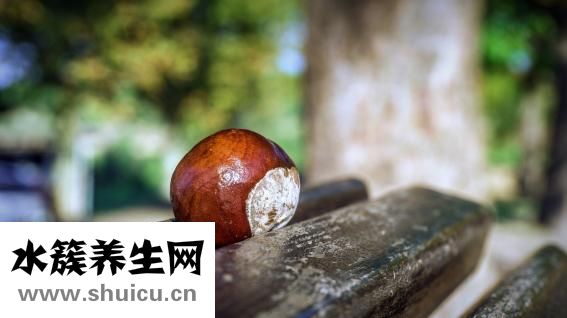 肾气虚该怎么好