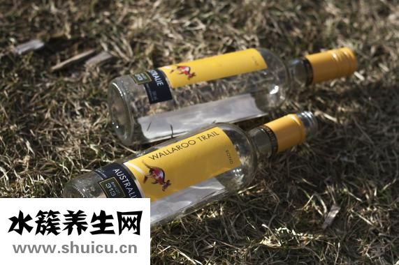 摔到骨头怎么补