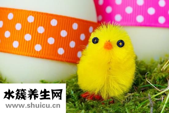 孩子小鸡痒怎么办
