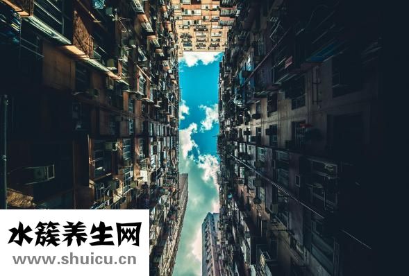怎么让别人不嫉妒我