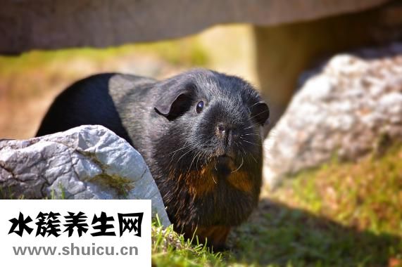 怀孕长雀斑怎么办