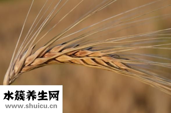 奶粉店怎么做活动