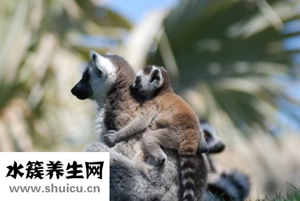 成人润滑油怎么用
