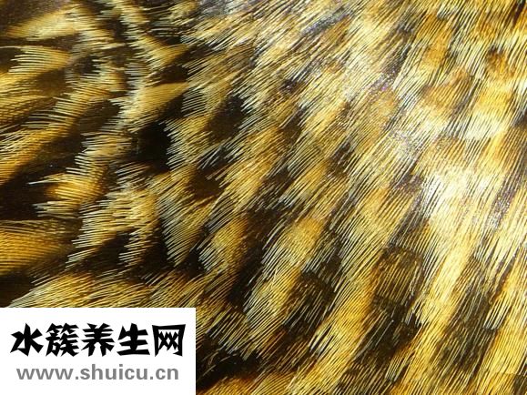 怎么挑选美瞳