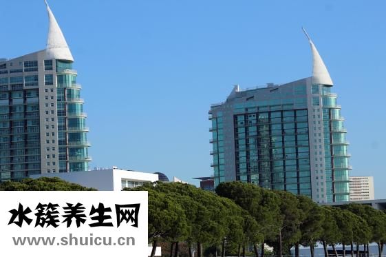 怎么装修宠物店