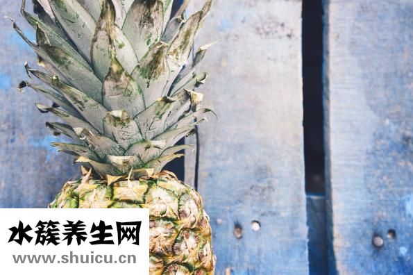纸菠萝怎么叠