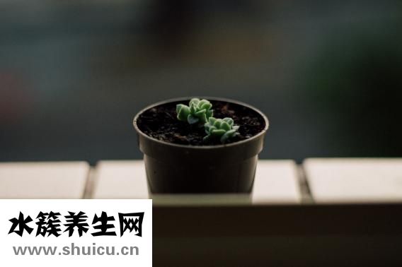 怎么在河里抓小鱼