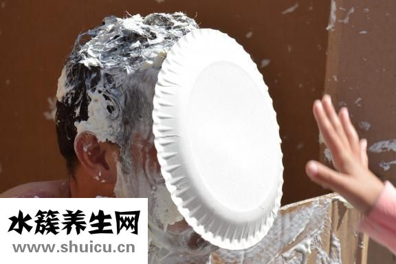 怎么装修宠物店