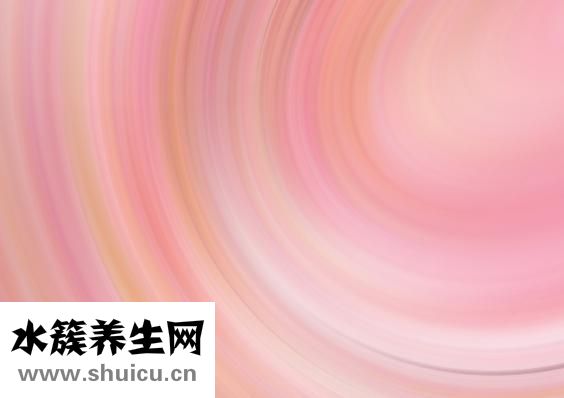 怎么给身体除湿