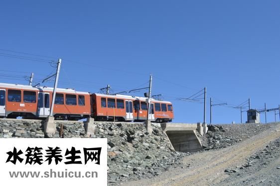 造浪泵怎么放