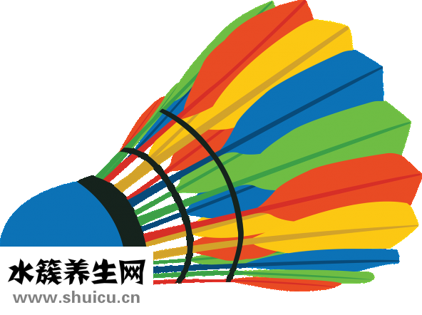 怎么挑选羽毛球