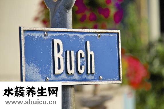 干英语怎么说