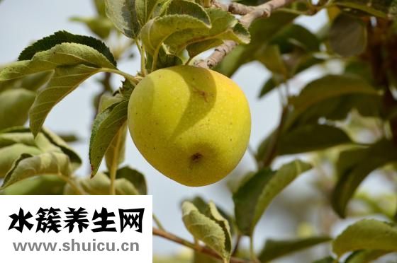 怎么可以厌食