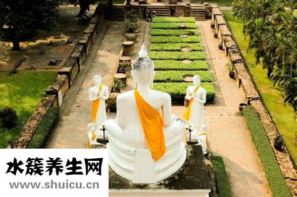 我没爱好怎么办