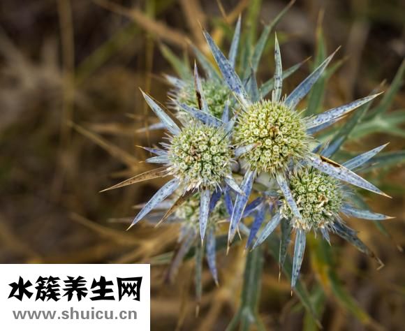 墙上粘勾怎么用