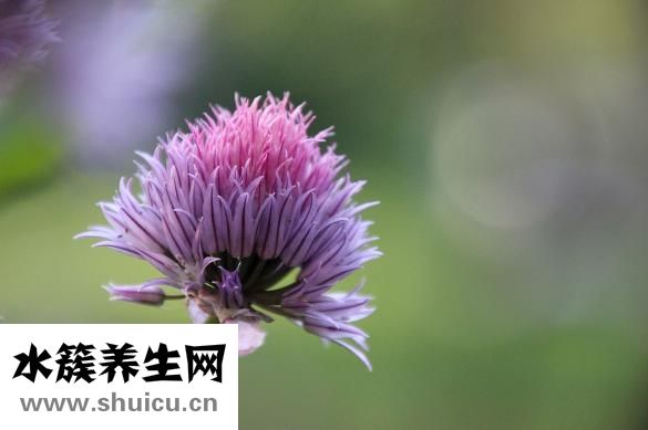 孕妇鸡眼怎么根治
