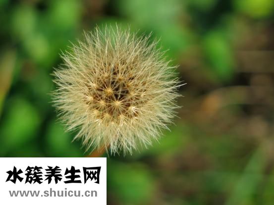 舌头又红又痛怎么办
