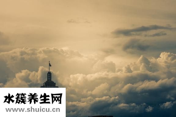 成活率怎么理解