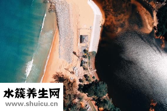 怎么熬糖画的糖