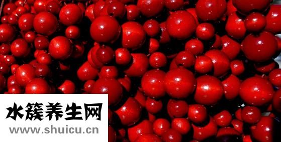 西洋参怎么挑选