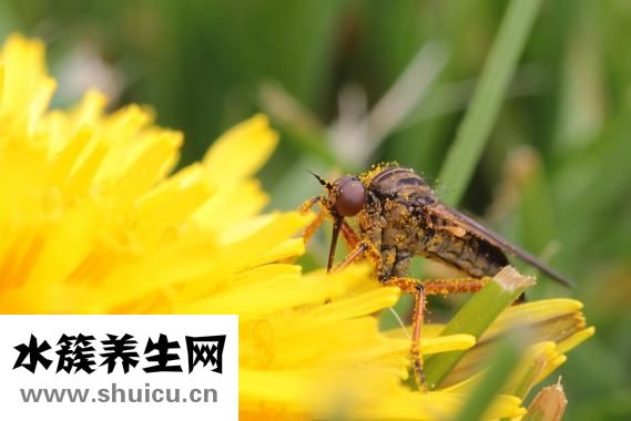 打麻将怎么不放炮
