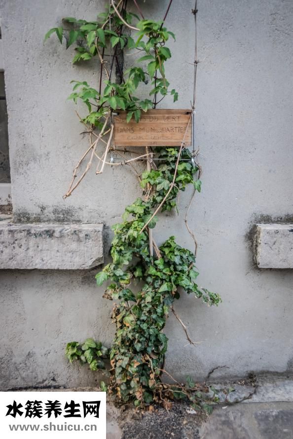 怎么能增大阴茎