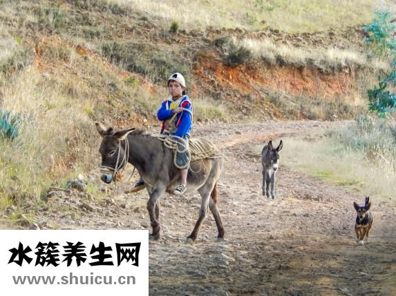 用哑铃怎么减肥