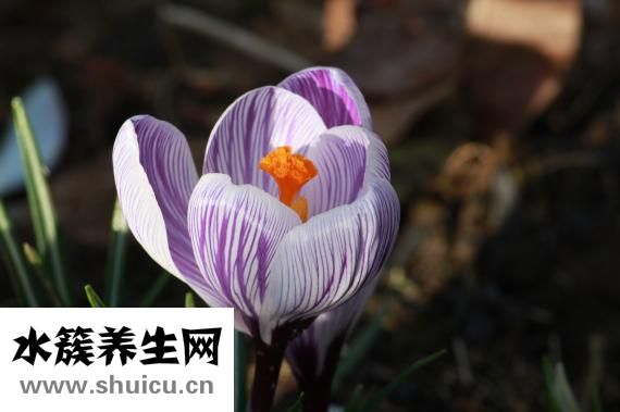 易生气怎么办