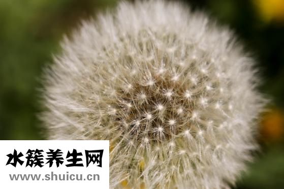舌头又红又痛怎么办