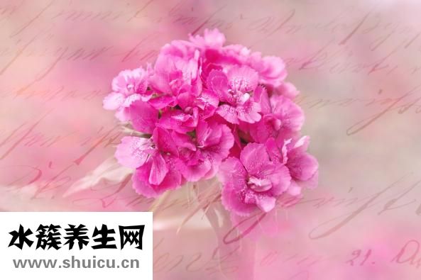 怎么测肤色