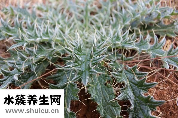 墙上粘勾怎么用