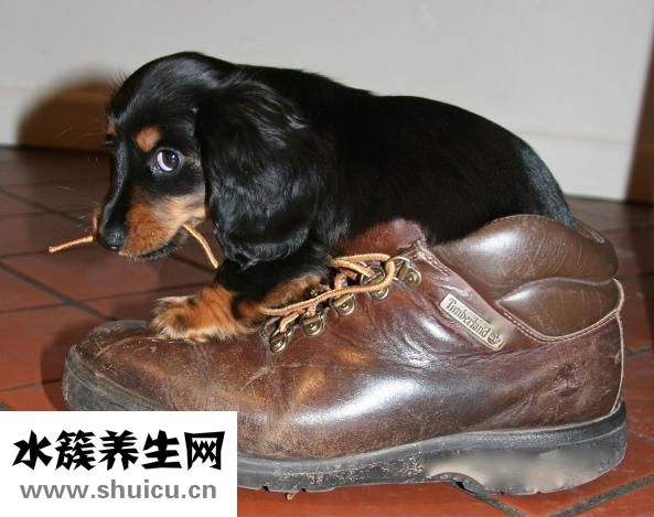 婴儿肚子受凉怎么办